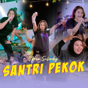 Niken Salindry的專輯Santri Pekok
