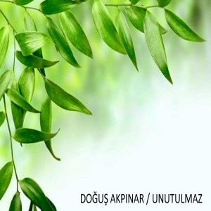 收听Doğuş Akpınar的Kuşlar歌词歌曲