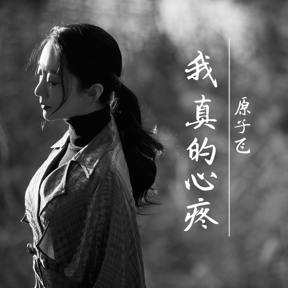 我真的心疼（DJ周木版）伴奏 (伴奏)