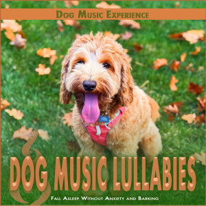 Dog Music Experience的專輯Dog Music Lullabies: Fall Asleep Without Anxiety and Barking