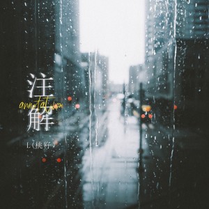 收听L（桃籽）的注解歌词歌曲