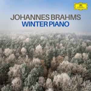 Johannes Brahms的專輯Brahms: Winter Piano