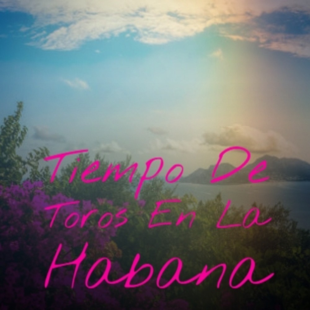 Tiempo De Toros En La Habana