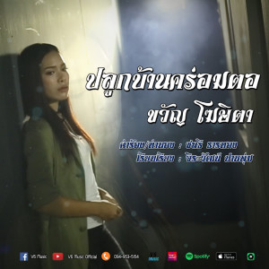 ดาวน์โหลดและฟังเพลง ปลูกบ้านคร่อมตอ พร้อมเนื้อเพลงจาก ขวัญ โฆษิตา