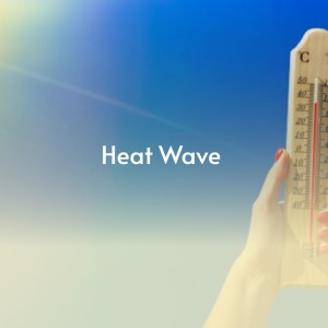 ดาวน์โหลดและฟังเพลง Heat Wave พร้อมเนื้อเพลงจาก Marylin Monroe