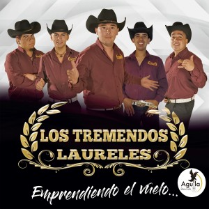 ดาวน์โหลดและฟังเพลง Mix los Tremendos Laureles Ft Consagrados de la Cumbia: Amarla y Después Perderla/Mujer Casada พร้อมเนื้อเพลงจาก Los tremendos laureles
