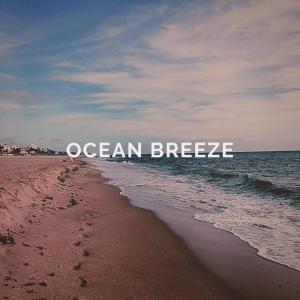Listen to Small Waves song with lyrics from Ocean Sounds