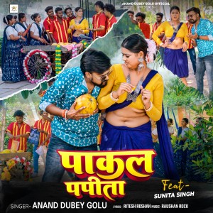 Listen to Pakal Papita song with lyrics from Anand Dubey Golu
