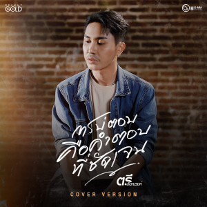 ดาวน์โหลดและฟังเพลง การบ่ตอบคือคำตอบที่ชัดเจน (Cover Version) พร้อมเนื้อเพลงจาก ตรี ชัยณรงค์