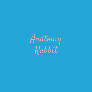 收听Anatomy Rabbit的Udon Town歌词歌曲