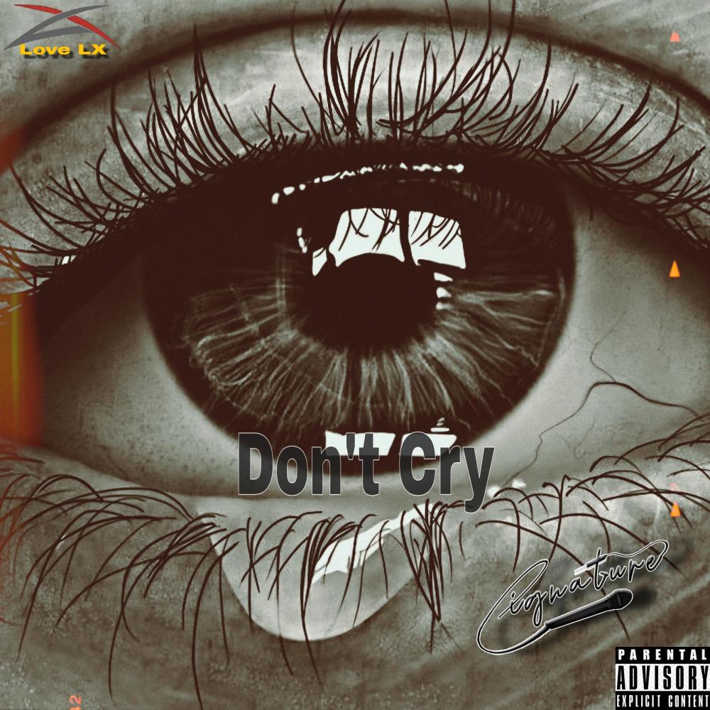 Dont Cry (feat. Cignature) (Explicit)