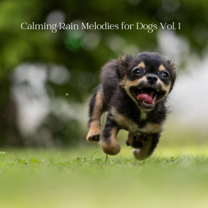 Album Calming Rain Melodies for Dogs Vol. 1 from Dog Music Zone