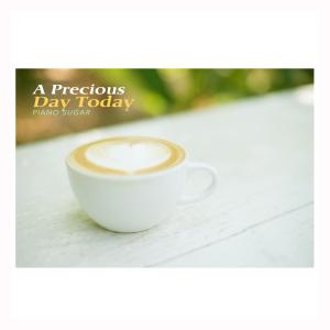 Album A Precious Day Today oleh Piano Sugar