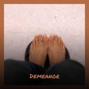 ดาวน์โหลดและฟังเพลง Demeanor พร้อมเนื้อเพลงจาก Peder Lache