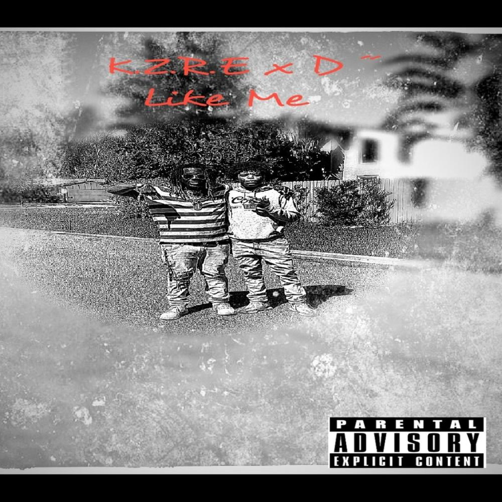 Like Me (feat. D") (Explicit)