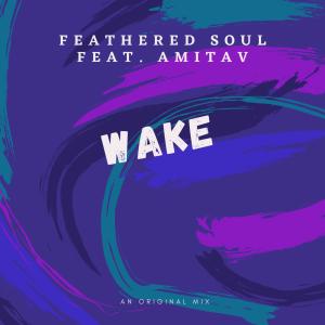 收听Feathered Soul的Wake(feat. Amitav)歌词歌曲