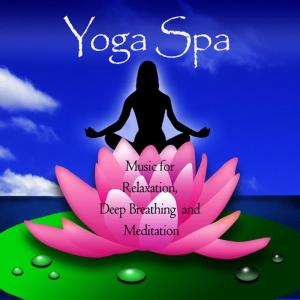 ดาวน์โหลดและฟังเพลง Disappointment พร้อมเนื้อเพลงจาก Wellness Spa Ensemble