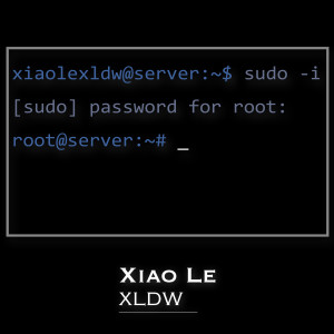 Listen to SUDO (完整版) song with lyrics from 小乐XLDW