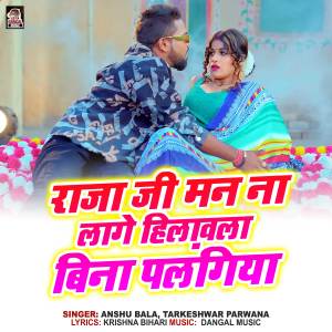 Listen to Raja Ji Man Na Lage Hilawala Bina Palangiya song with lyrics from Asha Bala