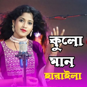 Album Kulo Man Harailam from Rojina Parbin