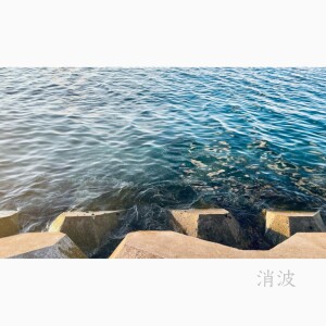 Album Lull In Waves from 霊