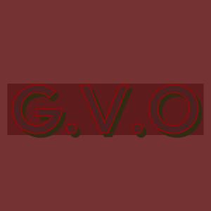 G.V.O (Good Vibes Only)