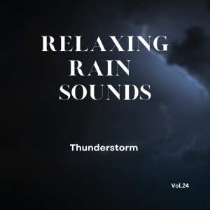 Relaxing Rain Sounds (Vol.24)