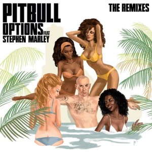 ดาวน์โหลดและฟังเพลง Options (Chuckie Remix) พร้อมเนื้อเพลงจาก Pitbull