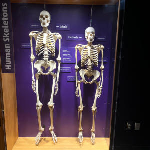 收聽OS!的Like U!歌詞歌曲