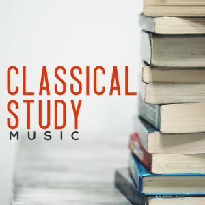 ดาวน์โหลดและฟังเพลง Introduction et rondo capriccioso, Op. 28 พร้อมเนื้อเพลงจาก Tatiana Samouil