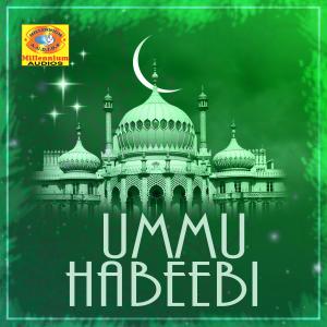 Listen to Mazhavillu Virinha song with lyrics from Shuhaib Vadakara