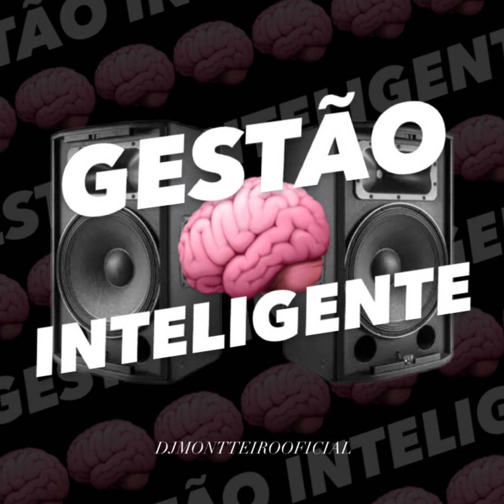 GESTÃO INTELIGENTE (Explicit)