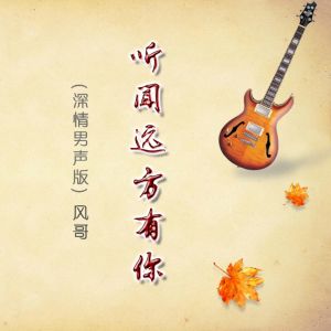 收聽風哥的聽聞遠方有你 (深情男聲版)歌詞歌曲