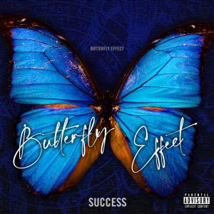 Butterfly Effect (Explicit)