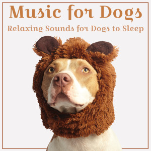 Album Music for Dogs (Relaxing Sounds for Dogs to Sleep) oleh Relaxmydog