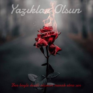 ดาวน์โหลดและฟังเพลง Yazıklar Olsun (Explicit) พร้อมเนื้อเพลงจาก Hayalet