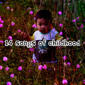 The Nursery Rhyme Players的专辑14 Songs of Childhood (Explicit)