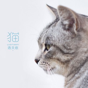 收聽洛天依的貓歌詞歌曲