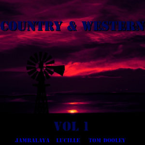收聽Orchester James Garner的Take Me Home, Country Roads歌詞歌曲