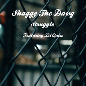 收聽Shaggy The Dawg的Struggle歌詞歌曲