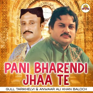 Album Pani Bharendi Jhaa Te - Gull Tarikhelvi & Anwaar Ali Khan Baloch from 