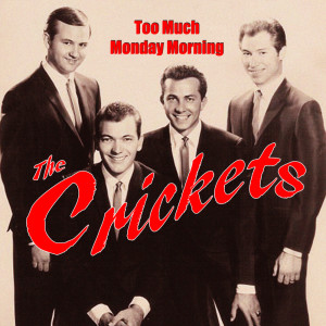 收聽The Crickets的The Best in Me歌詞歌曲
