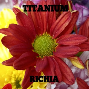 Dengarkan lagu Titanium (Titanium Full Bass) nyanyian Richia dengan lirik