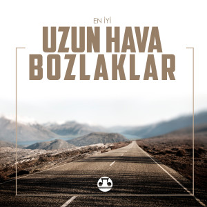 Listen to Bu Sene song with lyrics from Güler Duman