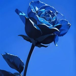 Album Blue Fire (Feat. Lowell Straight) from J1NO