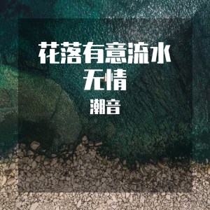 ดาวน์โหลดและฟังเพลง 花落有意流水无情（DJ名龙 Remix） (DJ名龙 Remix) พร้อมเนื้อเพลงจาก Ludwik.Liu