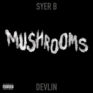 Syer的专辑Mushrooms (Explicit)