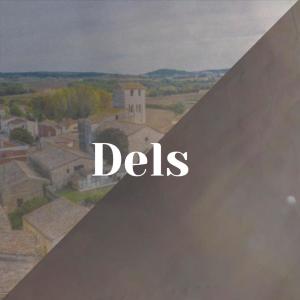 ดาวน์โหลดและฟังเพลง Dels พร้อมเนื้อเพลงจาก Muliana