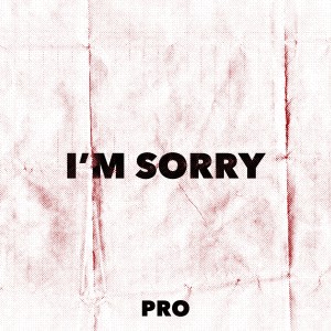 ดาวน์โหลดและฟังเพลง I'm Sorry พร้อมเนื้อเพลงจาก Pro!