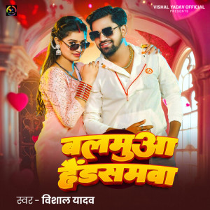 Vishal Yadav的专辑Balamuaa Handsomwa